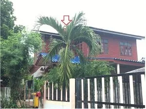 บ้านเดี่ยว เมืองร้อยเอ็ด