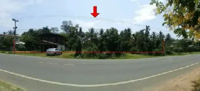 บ้านเดี่ยว กันทรารมย์-ศรีสะเกษ รูปที่ 1