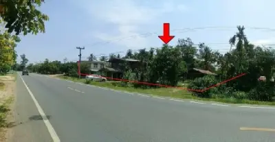 บ้านเดี่ยว กันทรารมย์-ศรีสะเกษ รูปที่ 2