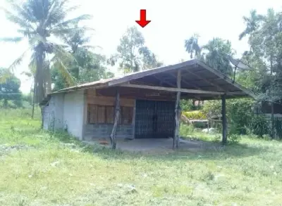บ้านเดี่ยว กันทรารมย์-ศรีสะเกษ รูปที่ 4