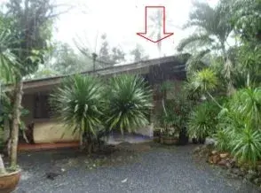 บ้านเดี่ยว กงหรา-พัทลุง รูปที่ 1