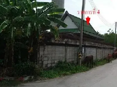 โรงงาน บางแพ-ราชบุรี รูปที่ 3