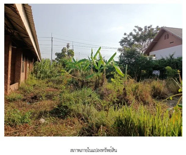 บ้านพร้อมกิจการ กำแพงแสน-นครปฐม