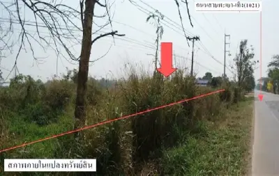 ที่ดินว่างเปล่า บ้านแม่ต๋ำ เทิง เชียงคำ-พะเยา รูปที่ 4