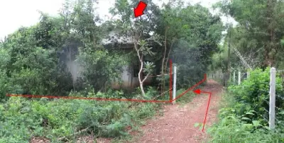 บ้านเดี่ยว ศรีมหาโพธิ-ปราจีนบุรี รูปที่ 1