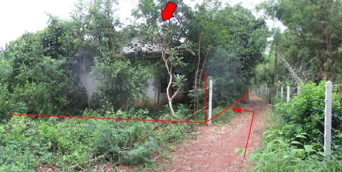 บ้านเดี่ยว ศรีมหาโพธิ-ปราจีนบุรี