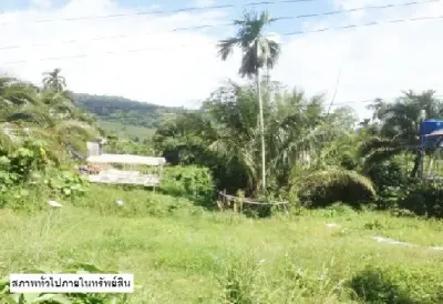 ที่ดินว่างเปล่า เกาะลันตา-กระบี่ รูปที่ 1