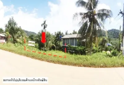 ที่ดินว่างเปล่า เกาะลันตา-กระบี่ รูปที่ 3