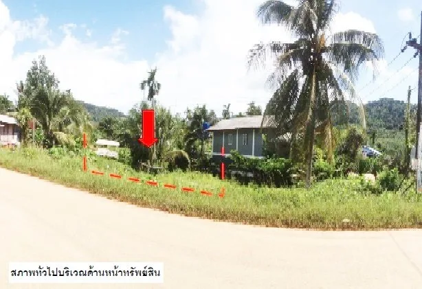 ที่ดินว่างเปล่า เกาะลันตา-กระบี่