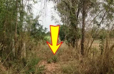 บ้านเดี่ยว บ้านบะยาว บ้านฝาง-ขอนแก่น รูปที่ 2
