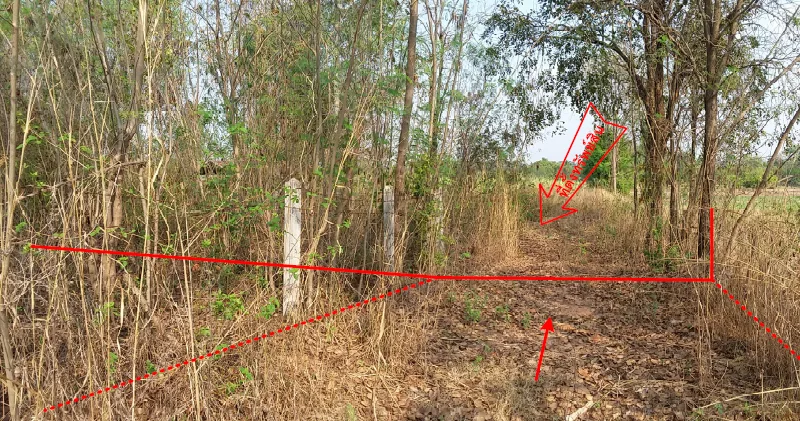 บ้านเดี่ยว บ้านบะยาว บ้านฝาง-ขอนแก่น
