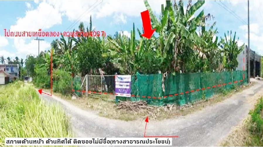 ที่ดินว่างเปล่า เขาพนม-กระบี่