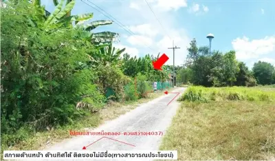 ที่ดินว่างเปล่า เขาพนม-กระบี่ รูปที่ 3
