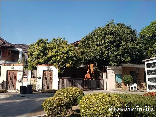 บ้านเดี่ยว พึงใจ คลองสามวา