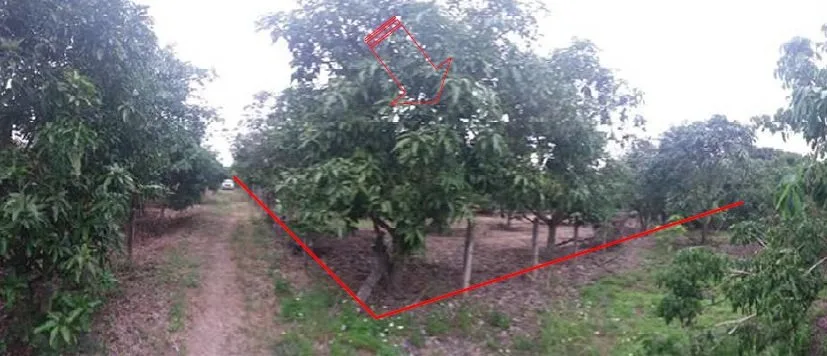 ที่ดินว่างเปล่า บ้านโฮ่ง-ลำพูน