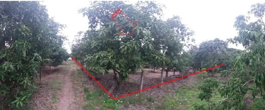 ที่ดินว่างเปล่า บ้านโฮ่ง-ลำพูน