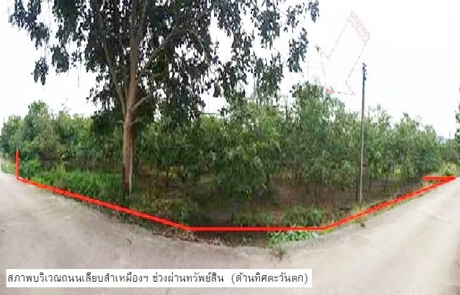 ที่ดินว่างเปล่า บ้านโฮ่ง-ลำพูน