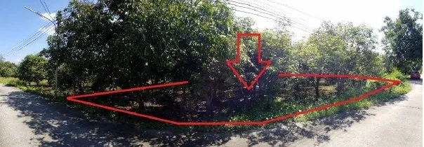 ที่ดินว่างเปล่า บ้านโฮ่ง-ลำพูน