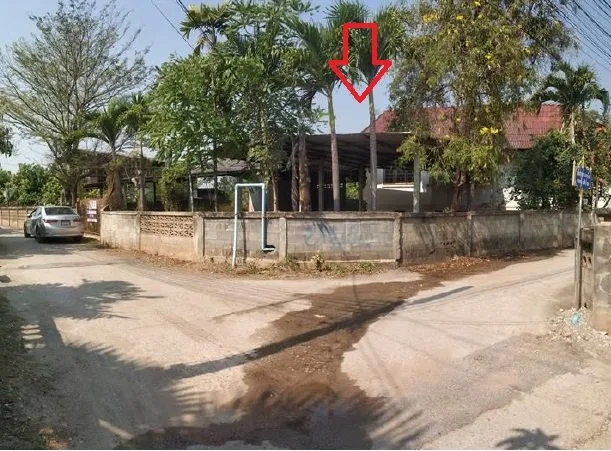บ้านเดี่ยว บ้านเหล่ายาวเหนือ บ้านโฮ่ง-ลำพูน