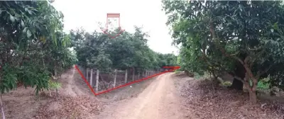 ที่ดินว่างเปล่า บ้านเหล่ายาวเหนือ บ้านโฮ่ง-ลำพูน รูปที่ 1