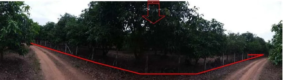 ที่ดินว่างเปล่า บ้านเหล่ายาวเหนือ บ้านโฮ่ง-ลำพูน