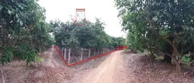 ที่ดินว่างเปล่า บ้านเหล่ายาวเหนือ บ้านโฮ่ง-ลำพูน รูปที่ 4