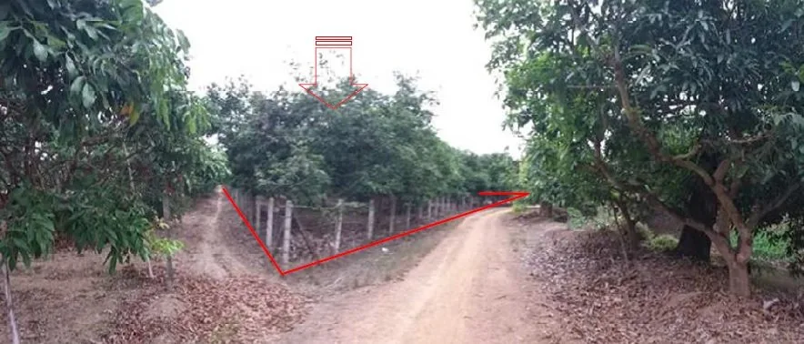 ที่ดินว่างเปล่า บ้านเหล่ายาวเหนือ บ้านโฮ่ง-ลำพูน