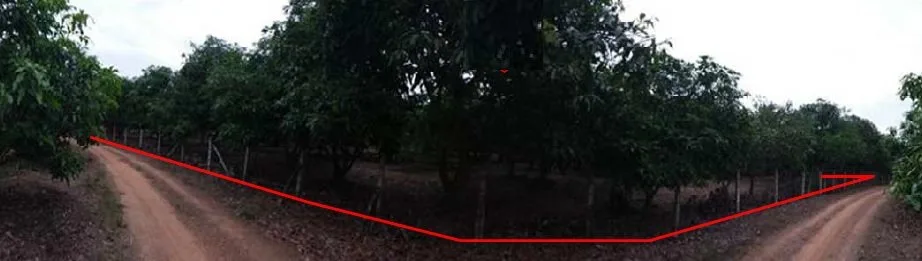ที่ดินว่างเปล่า บ้านเหล่ายาวเหนือ บ้านโฮ่ง-ลำพูน