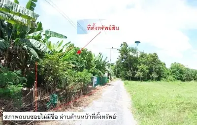 ที่ดินว่างเปล่า เขาพนม-กระบี่ รูปที่ 2