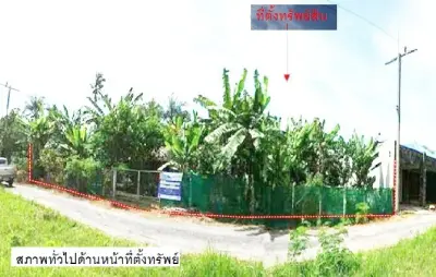 ที่ดินว่างเปล่า เขาพนม-กระบี่ รูปที่ 3