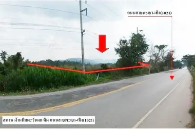 ที่ดินว่างเปล่า แม่ต่ำ เชียงคำ-พะเยา รูปที่ 3