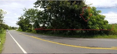 ที่ดินว่างเปล่า แม่ต่ำ เชียงคำ-พะเยา