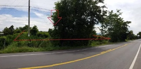 ที่ดินว่างเปล่า แม่ต่ำ เชียงคำ-พะเยา
