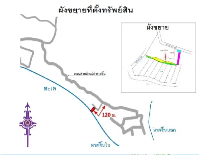 ที่ดินว่างเปล่า เกาะพะงัน-สุราษฎร์ธานี รูปที่ 1