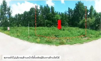 ที่ดินว่างเปล่า เขาพนม-กระบี่ รูปที่ 1