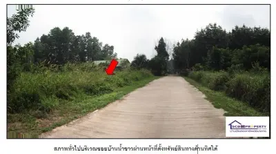 ที่ดินว่างเปล่า เขาพนม-กระบี่ รูปที่ 2
