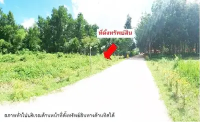 ที่ดินว่างเปล่า เขาพนม-กระบี่ รูปที่ 4