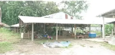 บ้านเดี่ยว วังสะพุง-เลย รูปที่ 3
