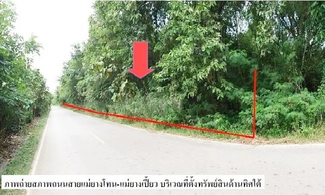 ที่ดินว่างเปล่า แม่ยางโทน ร้องกวาง-แพร่
