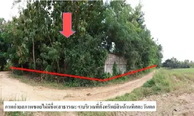 ที่ดินว่างเปล่า แม่ยางโทน ร้องกวาง-แพร่ รูปที่ 3