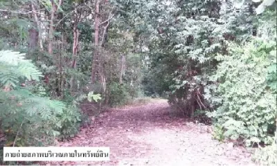 ที่ดินว่างเปล่า แม่ยางโทน ร้องกวาง-แพร่ รูปที่ 4