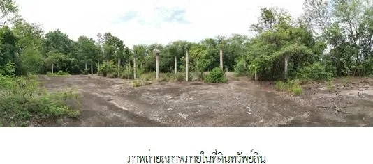ที่ดินว่างเปล่า แม่ยางโทน ร้องกวาง-แพร่