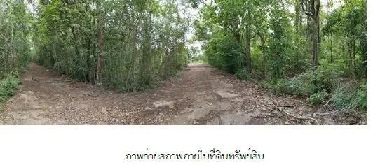 ที่ดินว่างเปล่า แม่ยางโทน ร้องกวาง-แพร่
