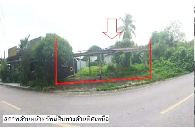 ที่ดินว่างเปล่า เมืองสตูล