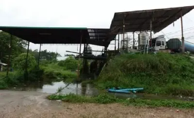 อาคารสำนักงาน สะเดา-สงขลา รูปที่ 4