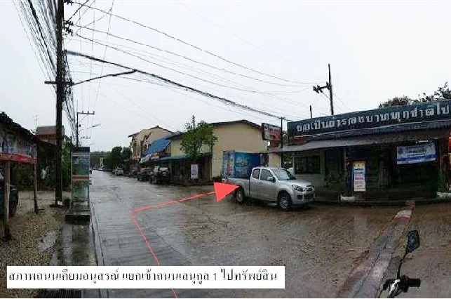 ที่ดินว่างเปล่า นาทวี-สงขลา