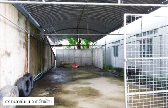 ที่ดินว่างเปล่า นาทวี-สงขลา