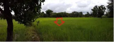 ที่ดินว่างเปล่า บ้านยางเครือ จตุรพักตรพิมาน-ร้อยเอ็ด รูปที่ 4