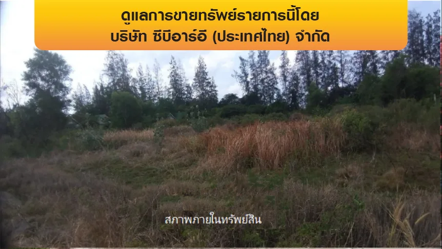 โรงงาน บางเสาธง-สมุทรปราการ