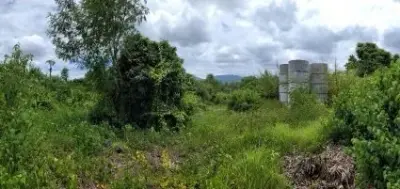 อาคาร บ้านศรีบุญเรือง ลี้-ลำพูน รูปที่ 3
